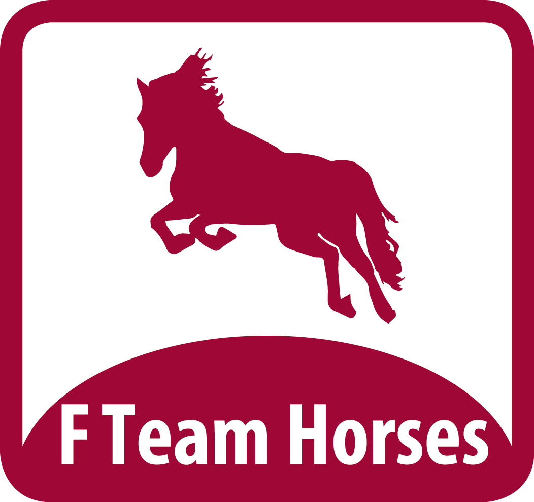 F Team Horses